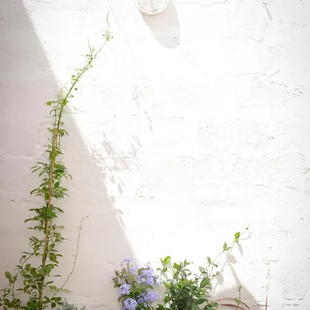 Villa Maria Tereza Sea Costa da Caparica